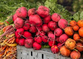 Maple Co-op Farmstand Morning