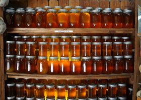 Old Town Preserves Club