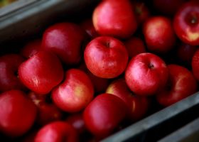 Cedar Grove Orchard