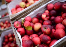 Cedar Grove Orchard Table