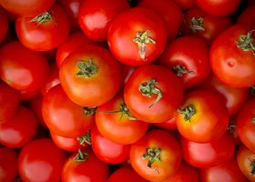 Twilight Tomato Market